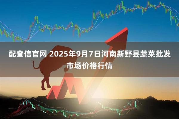 配查信官网 2025年9月7日河南新野县蔬菜批发市场价格行情