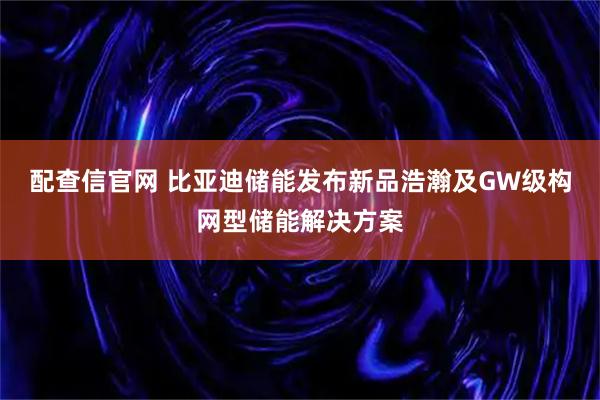 配查信官网 比亚迪储能发布新品浩瀚及GW级构网型储能解决方案