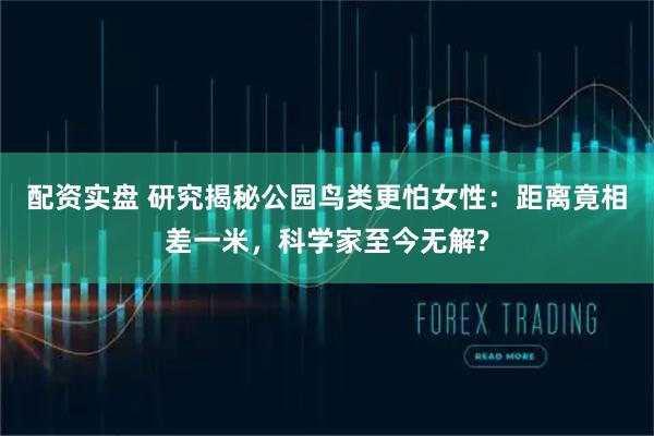 配资实盘 研究揭秘公园鸟类更怕女性：距离竟相差一米，科学家至今无解?